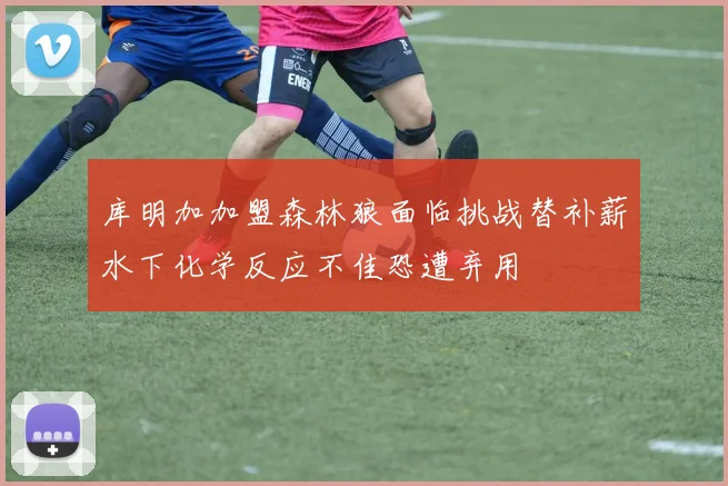 库明加加盟森林狼面临挑战替补薪水下化学反应不佳恐遭弃用